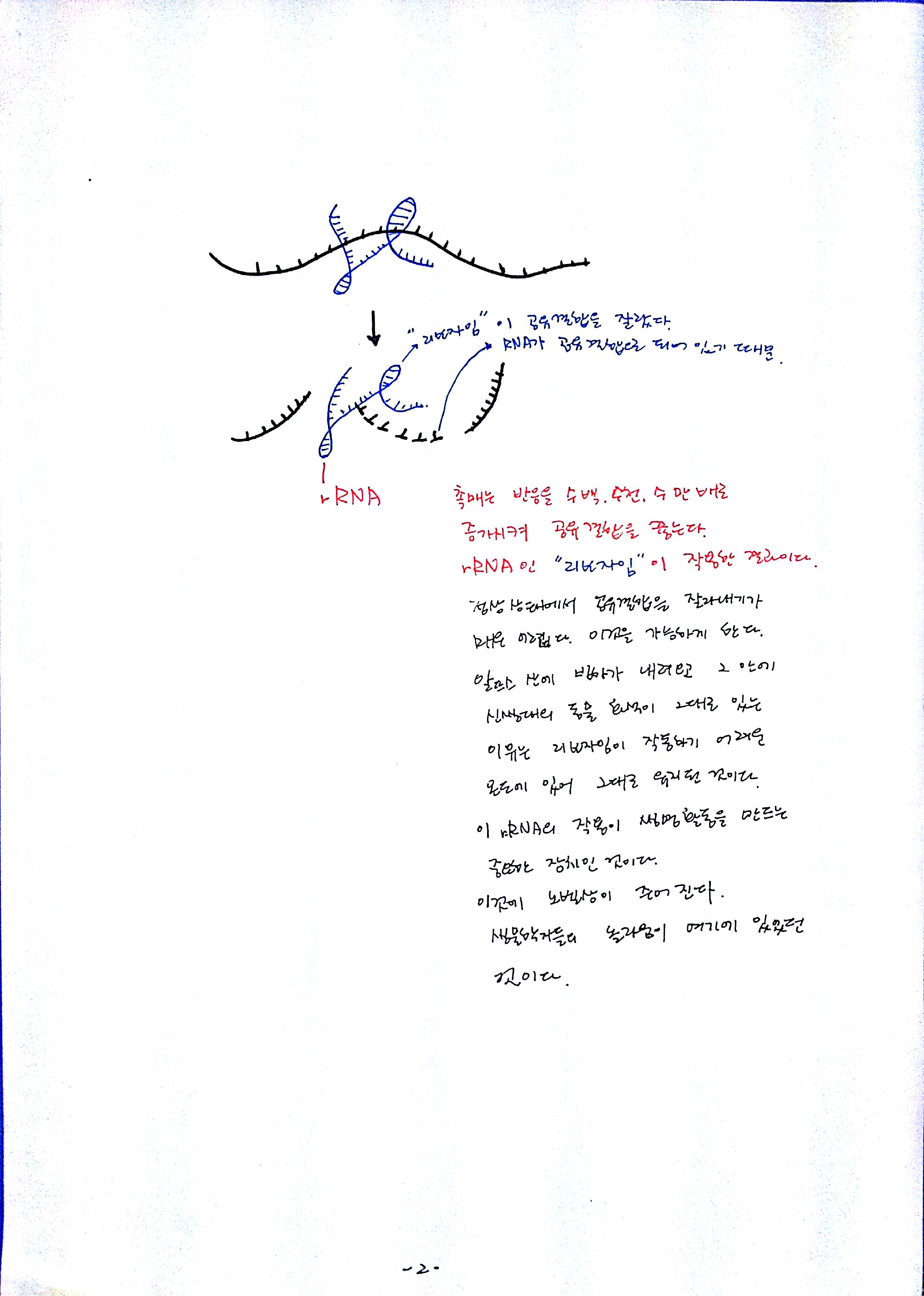13강-2.jpg