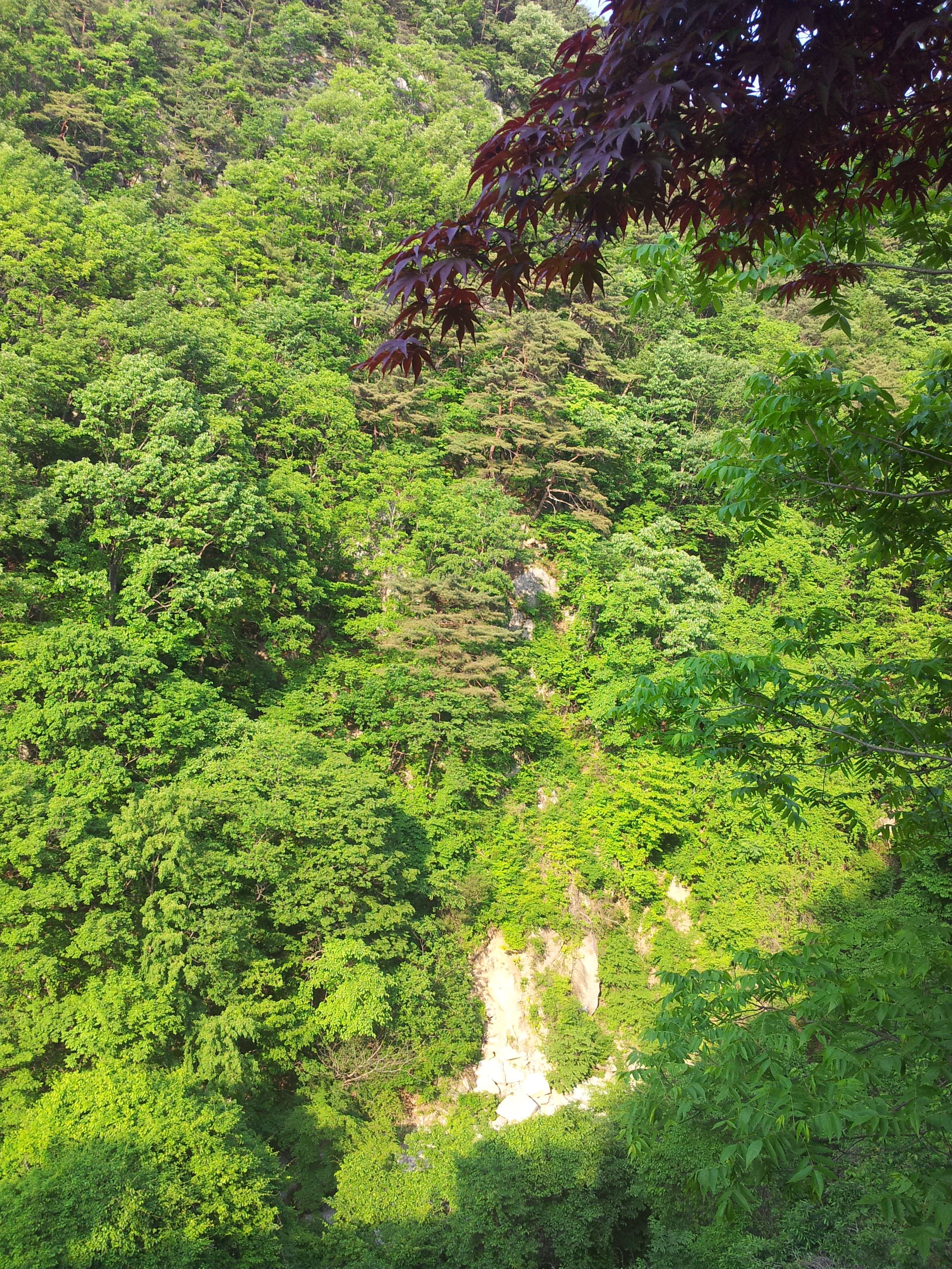 20120526_171824.jpg