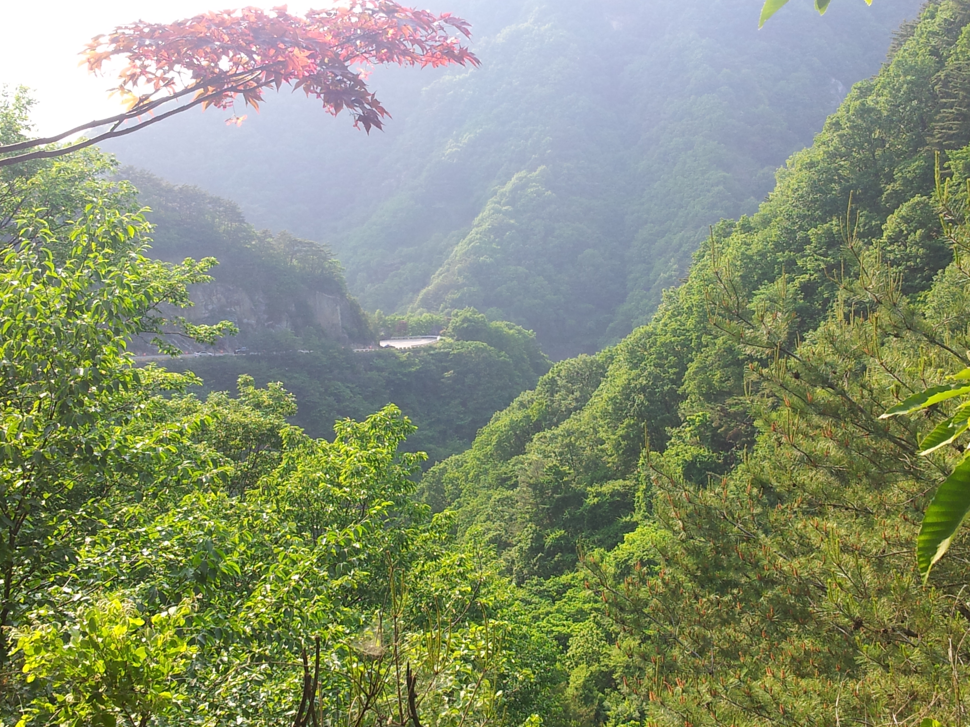 20120526_171935.jpg