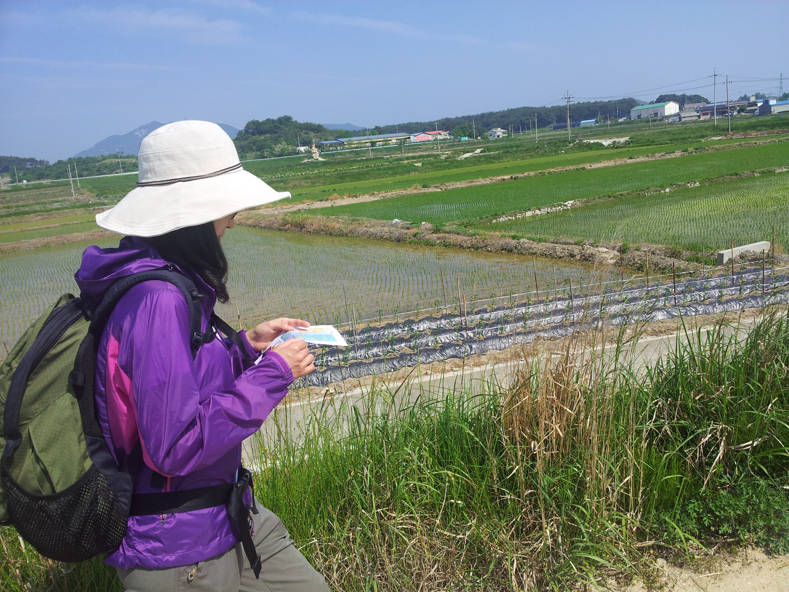20120527_093457.jpg