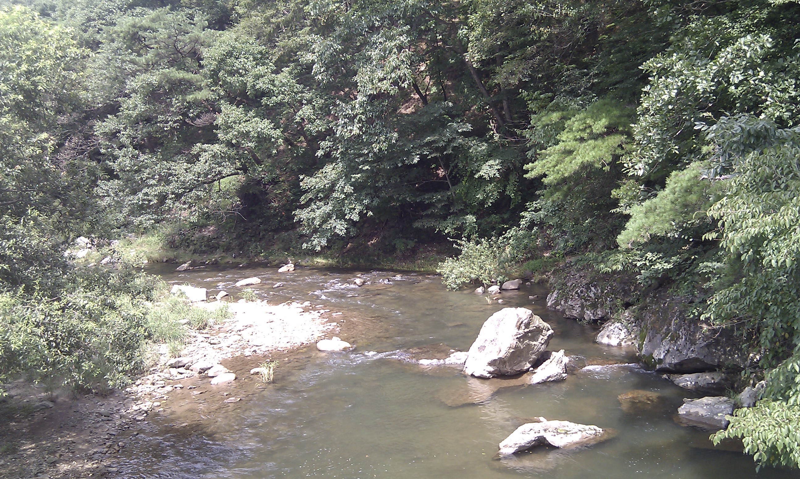 IMAG0172+.jpg