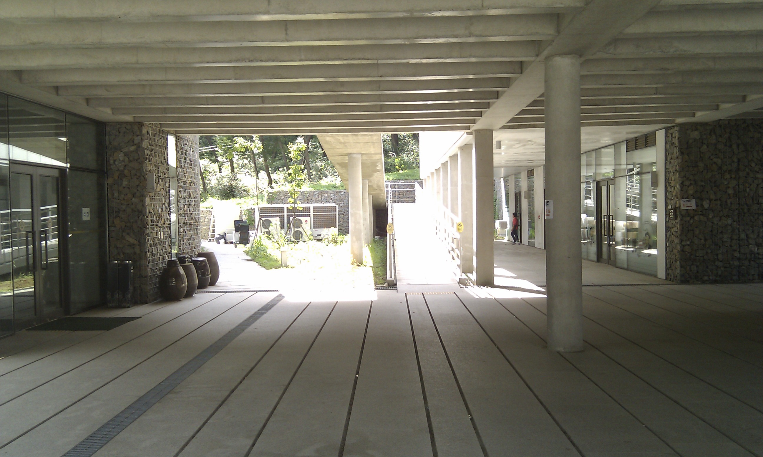IMAG0208+.jpg