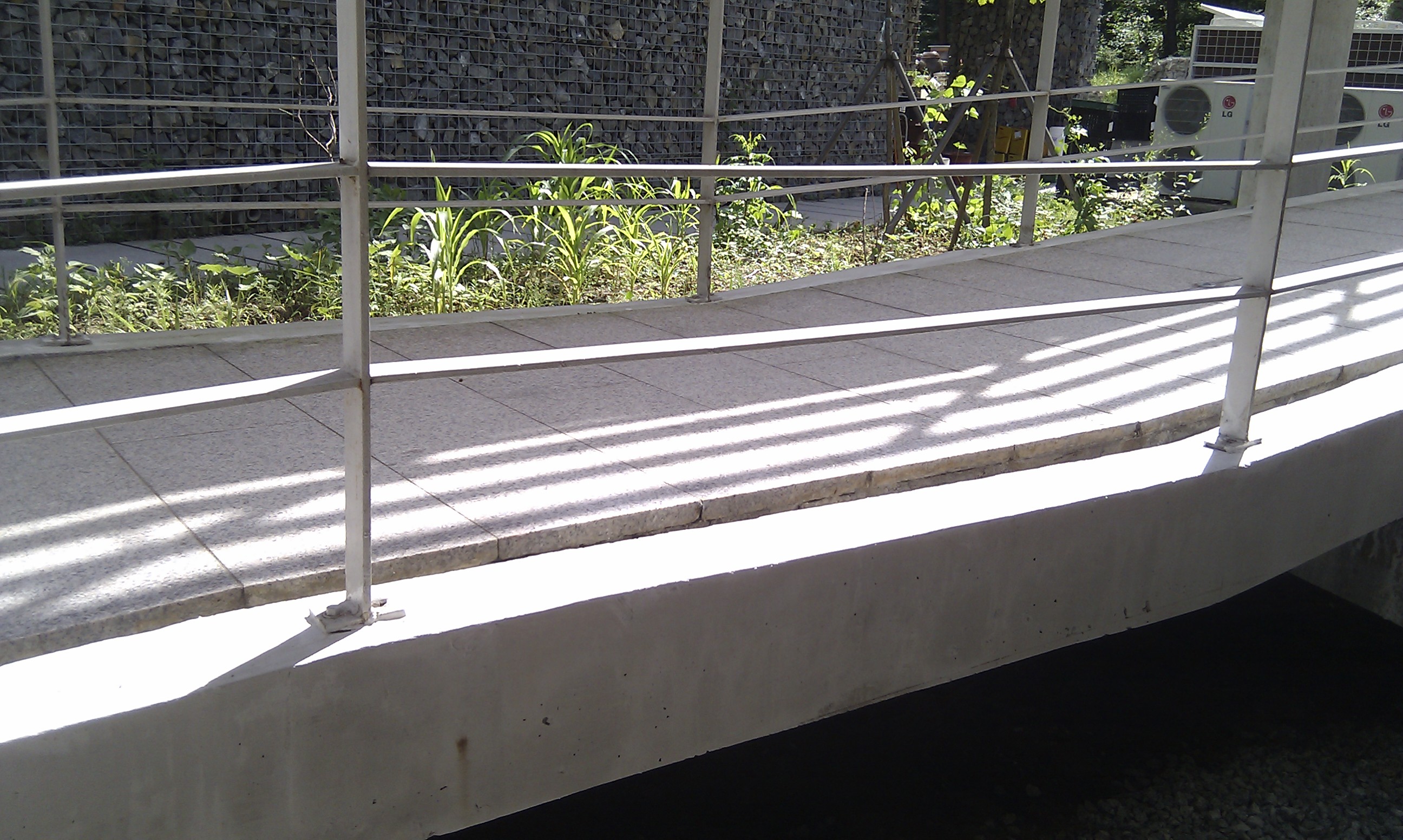 IMAG0209+.jpg