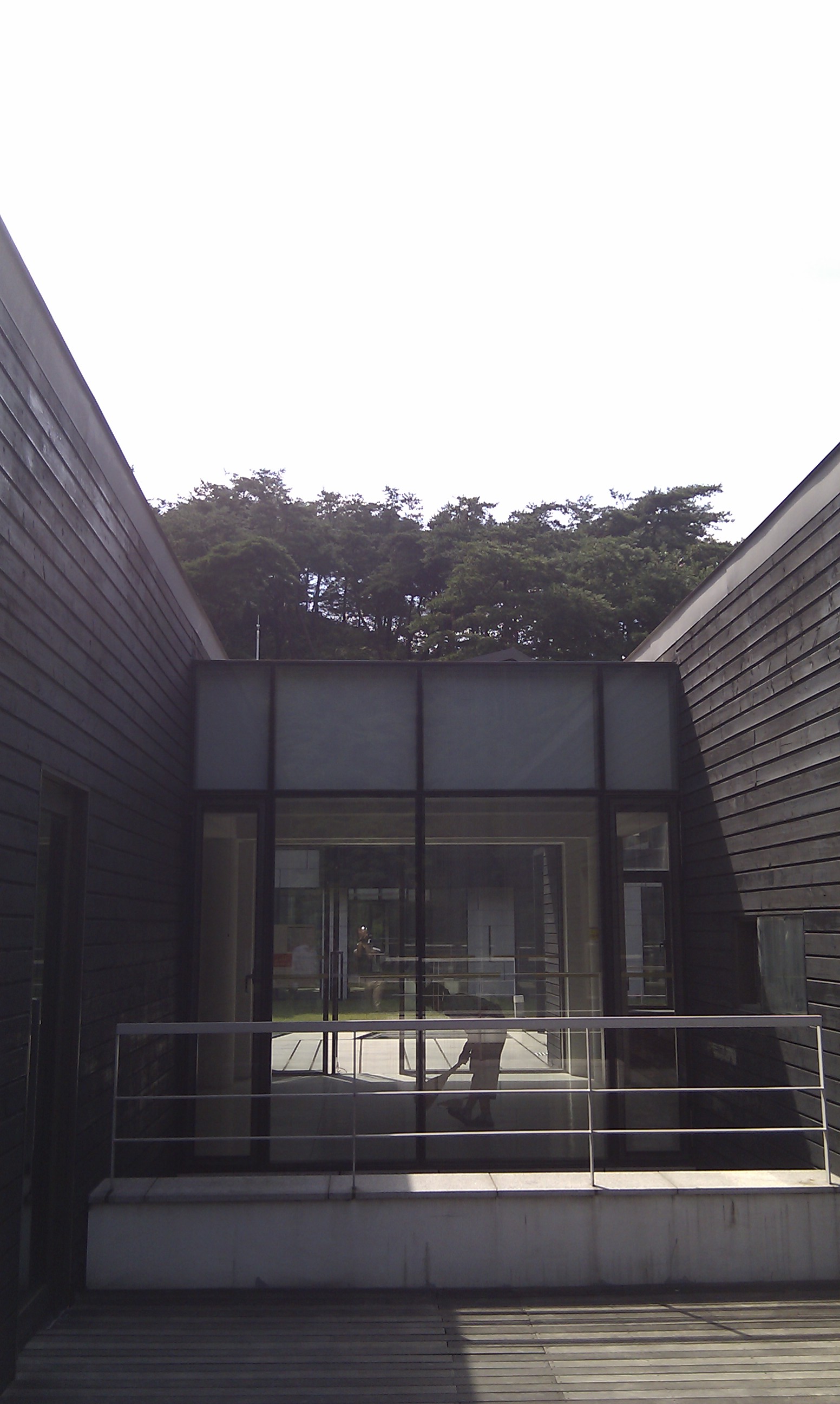 IMAG0212+.jpg