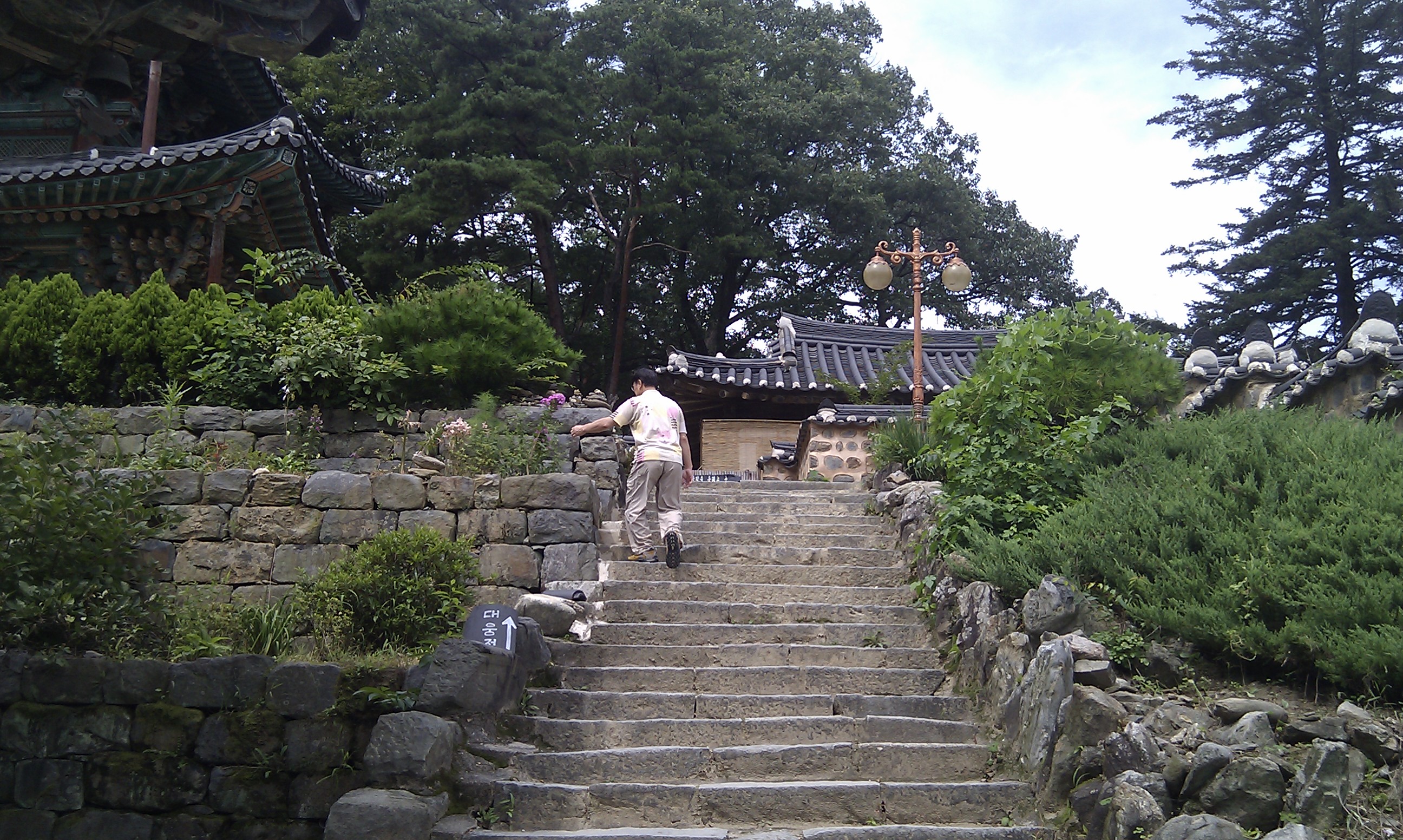 IMAG0183+.jpg