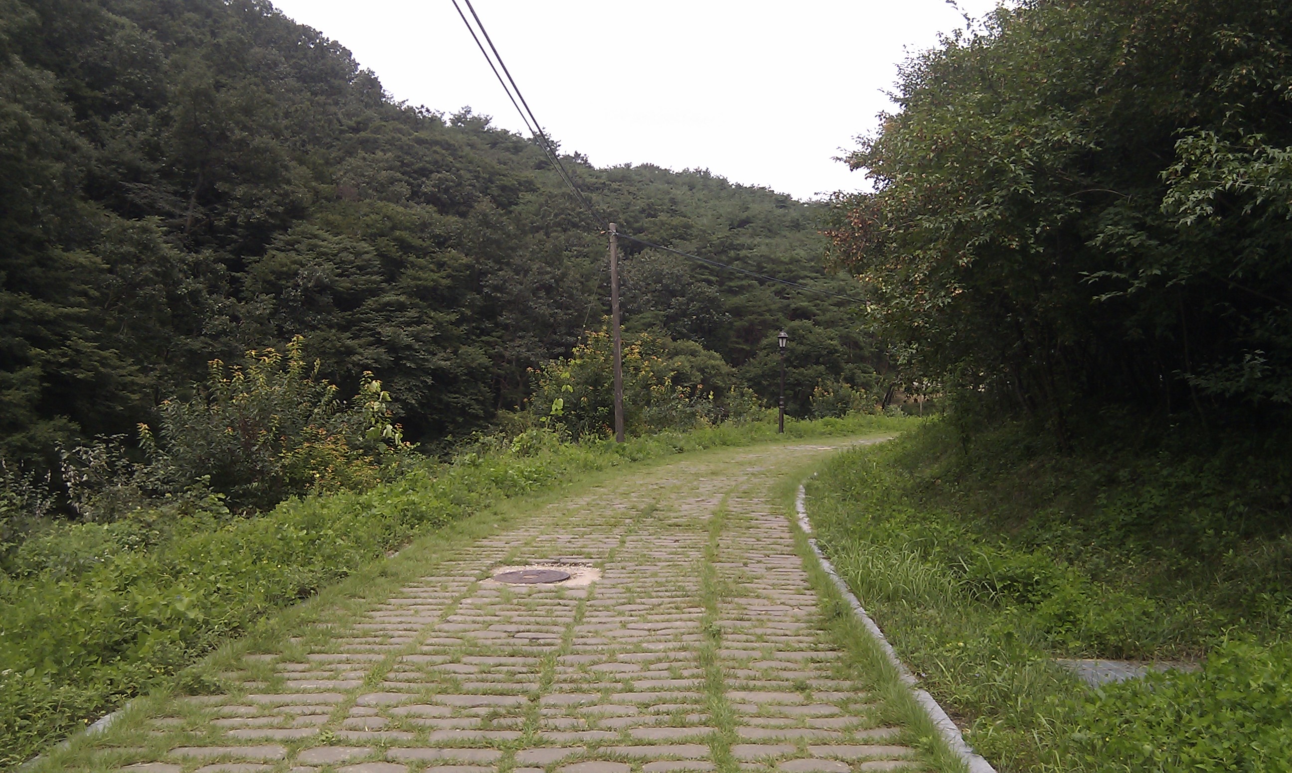 IMAG0167+.jpg