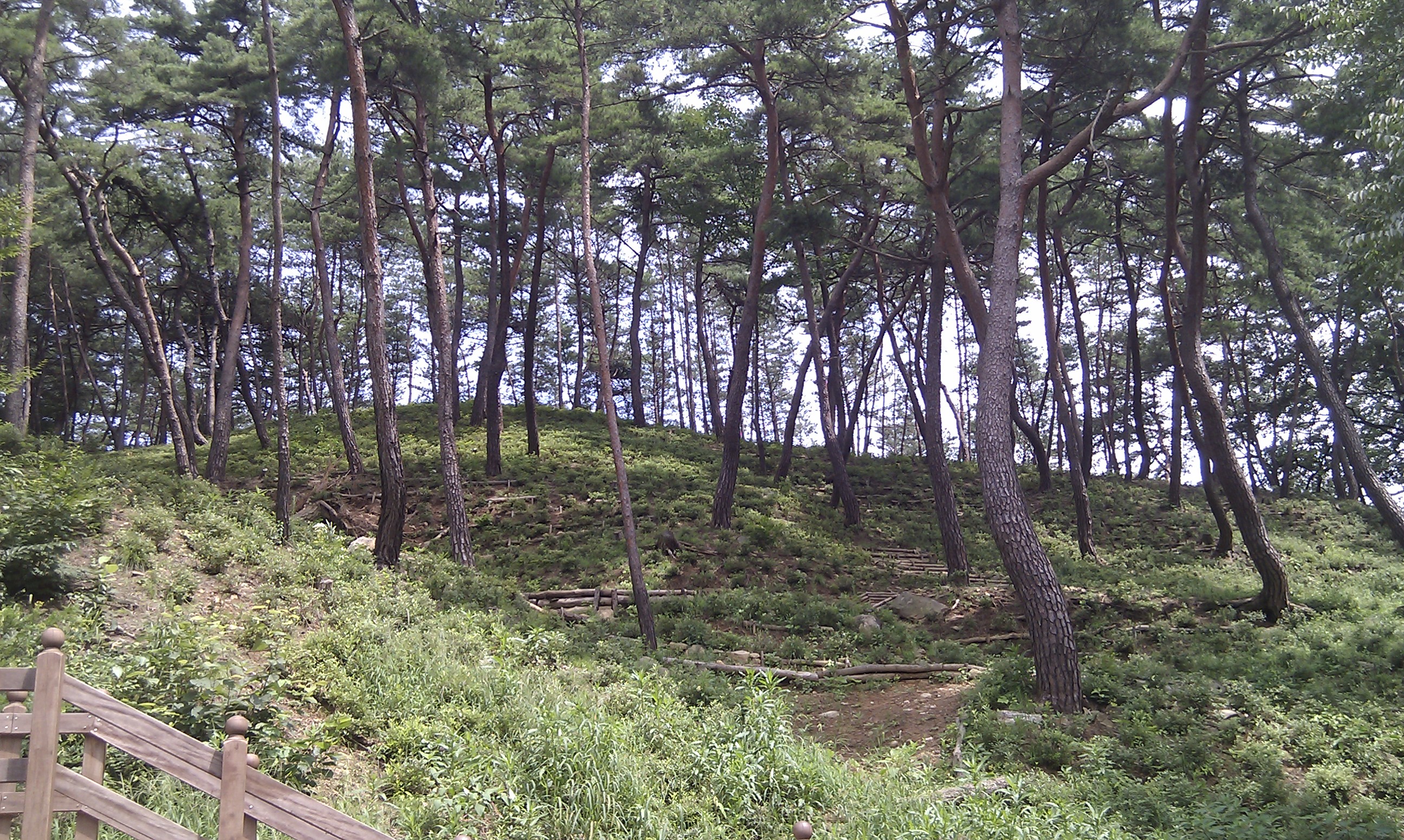 IMAG0176+.jpg
