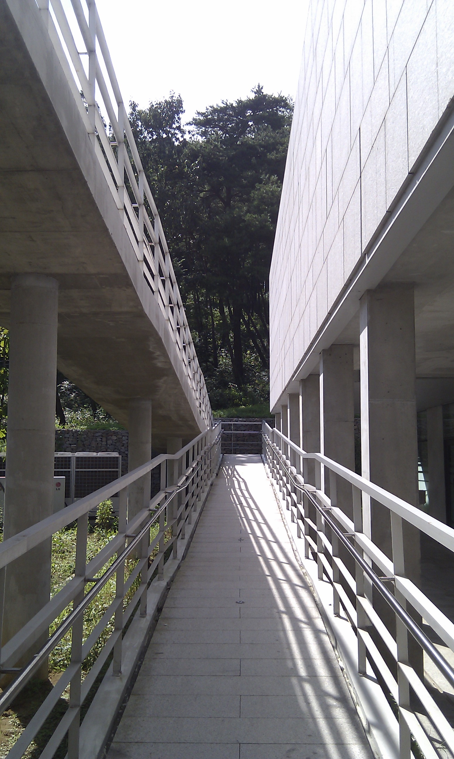 IMAG0210+.jpg