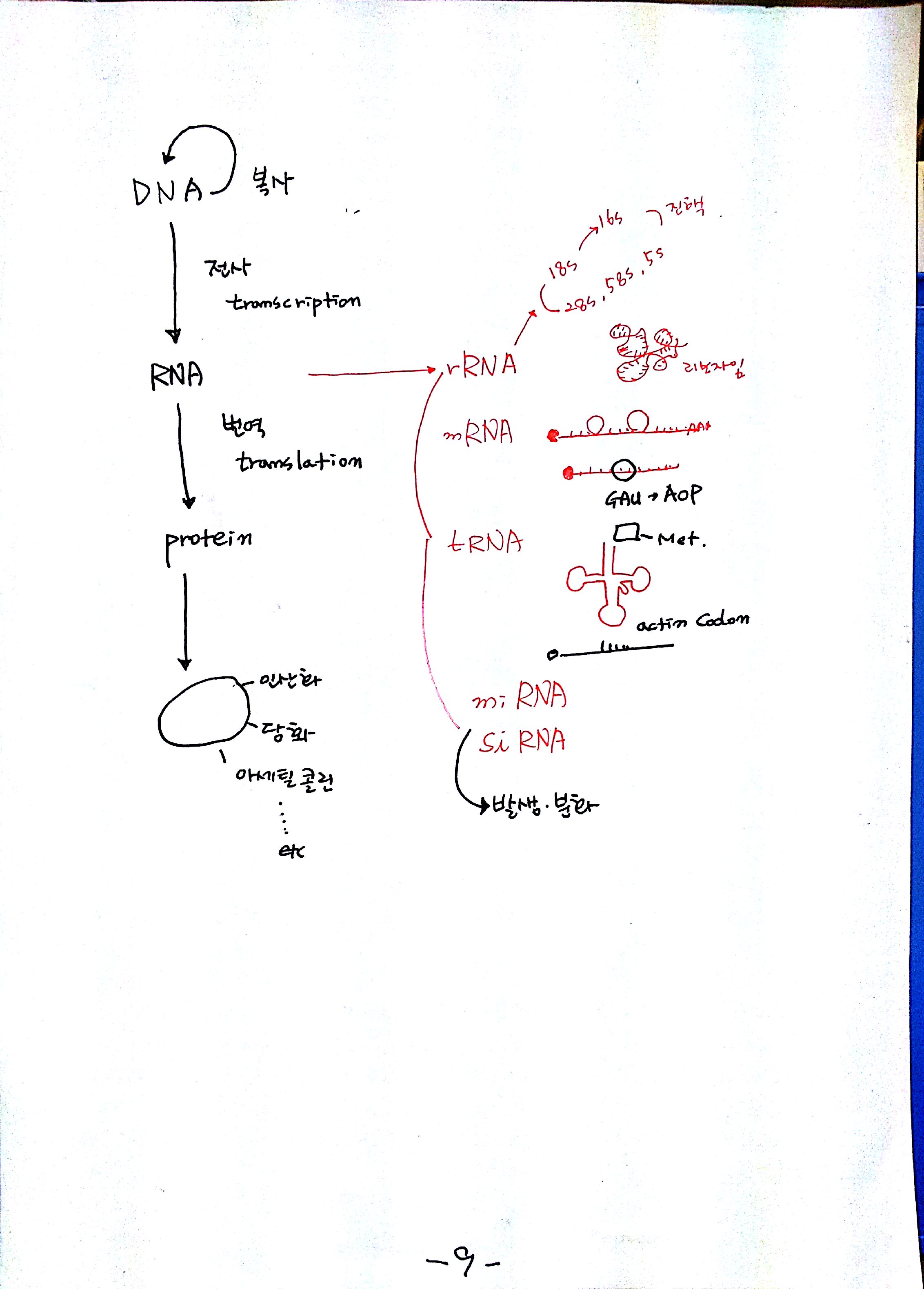2012-07-16_10-52-16_116.jpg