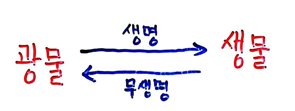 77778156486aea2cfa946---05617586669.jpg
