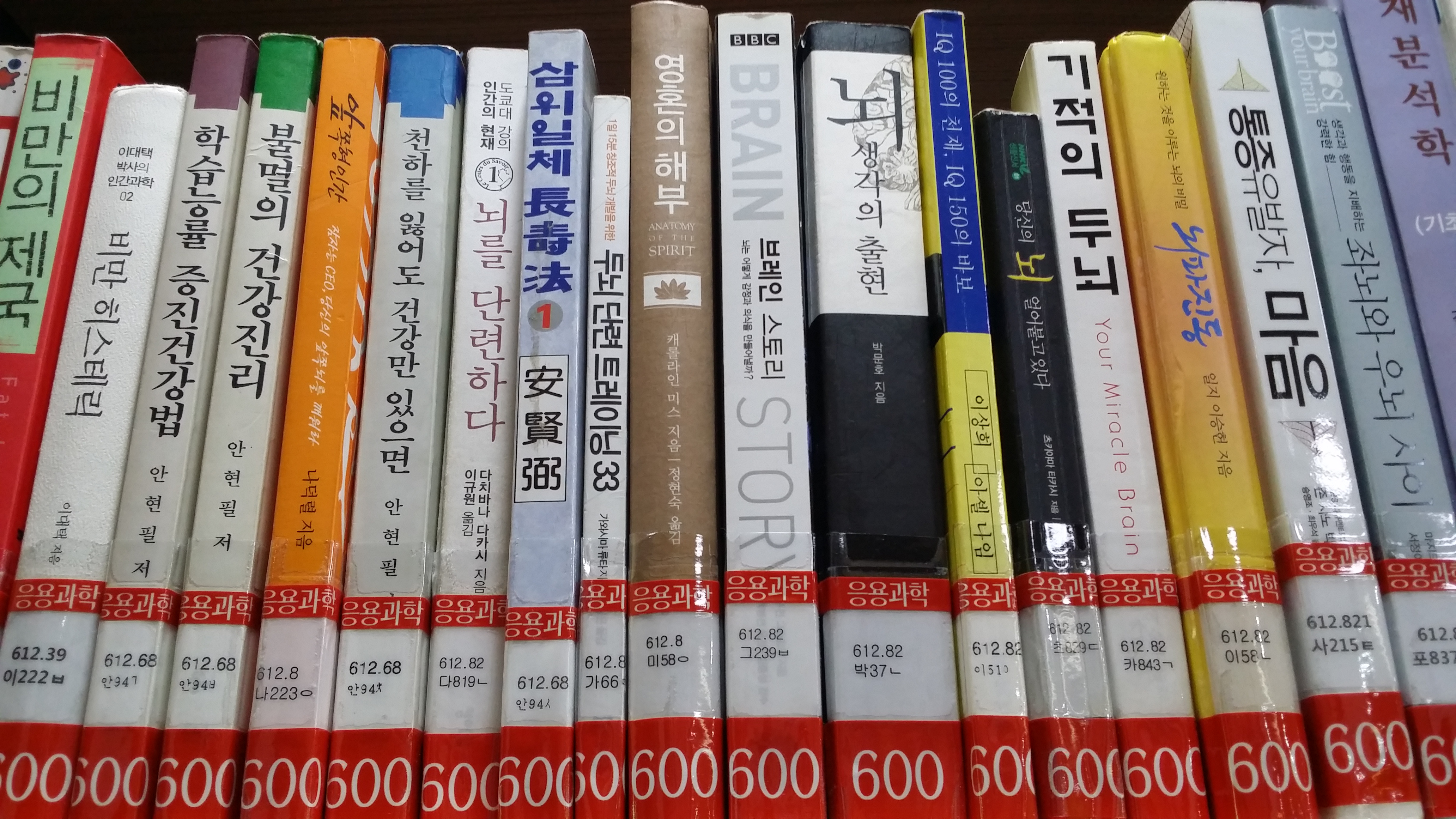 뇌 생각의 출현.jpg