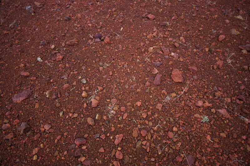 IMGP8314.JPG