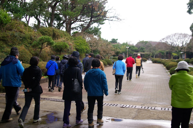 IMGP8241.JPG
