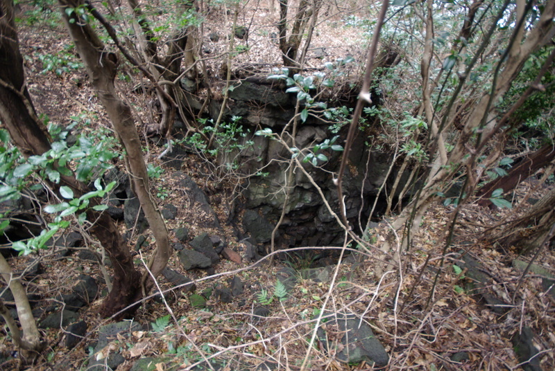 IMGP8348.JPG