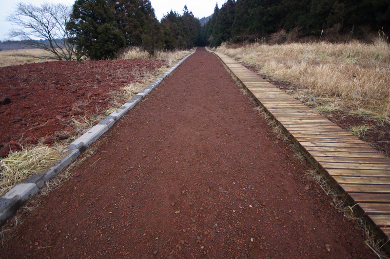 IMGP8316.JPG