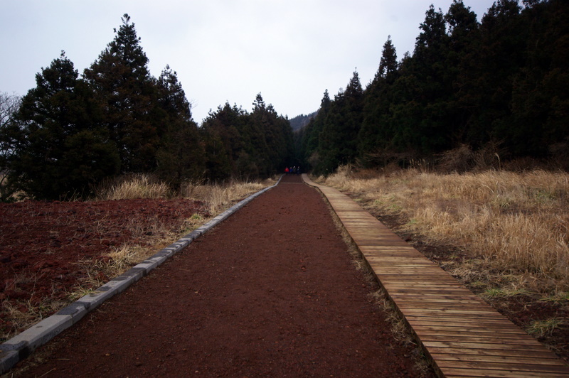 IMGP8322.JPG