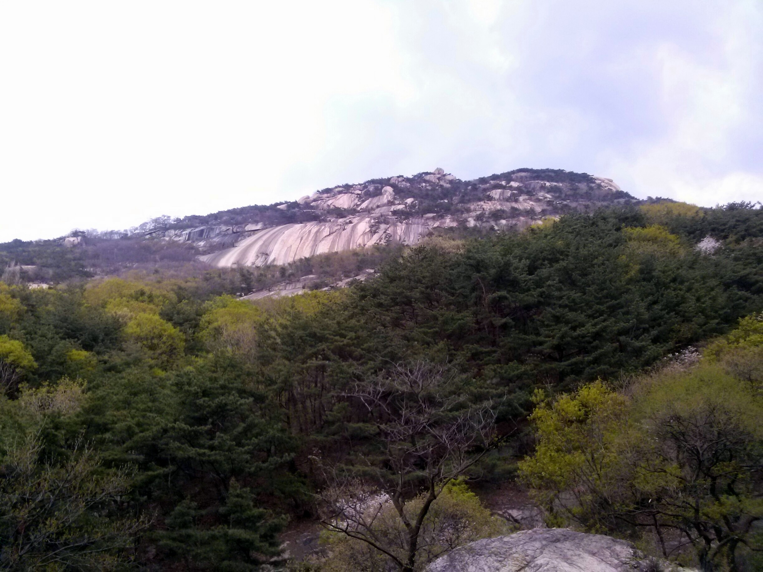 2013-05-01 17.19.08.jpg