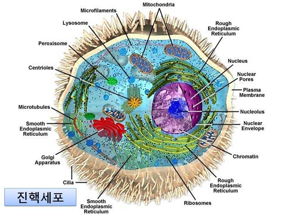 손진경 (10).jpg