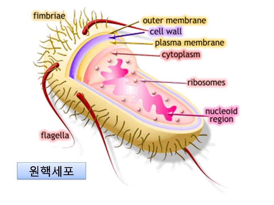 손진경 (9).jpg