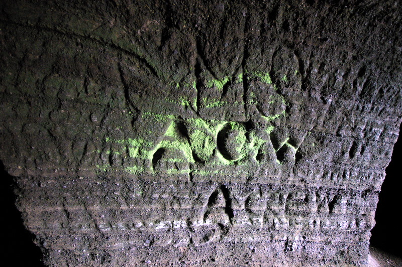 IMGP8580.JPG