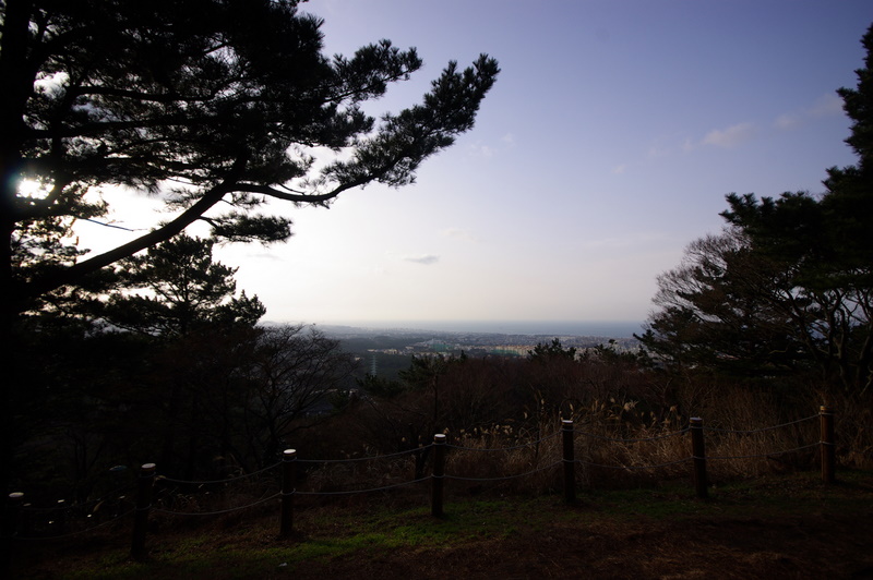IMGP8733.JPG