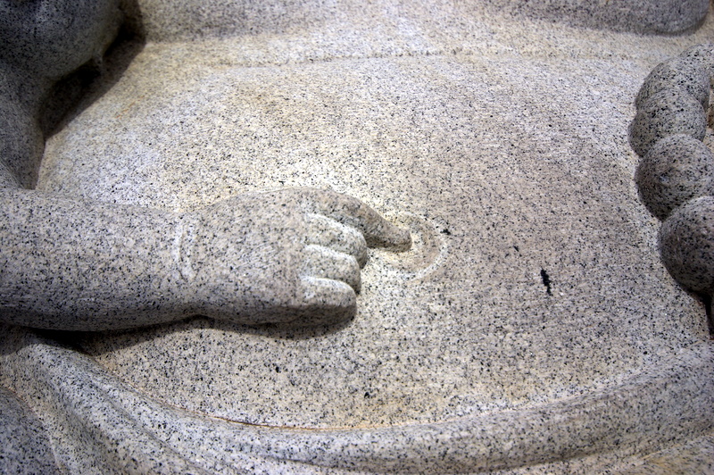 IMGP8670.JPG