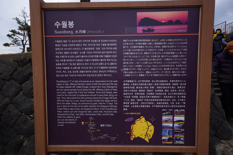 IMGP8516.JPG