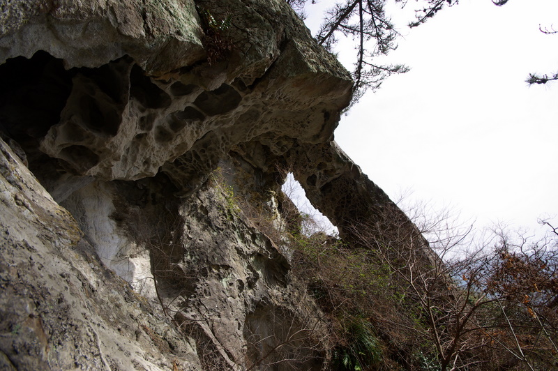 IMGP8634.JPG