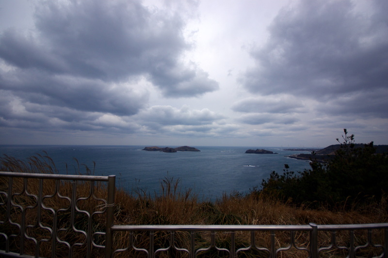 IMGP8519.JPG