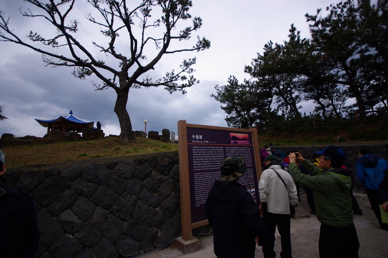 IMGP8515.JPG