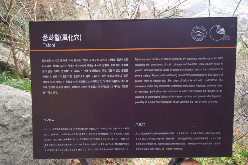 IMGP8663.JPG