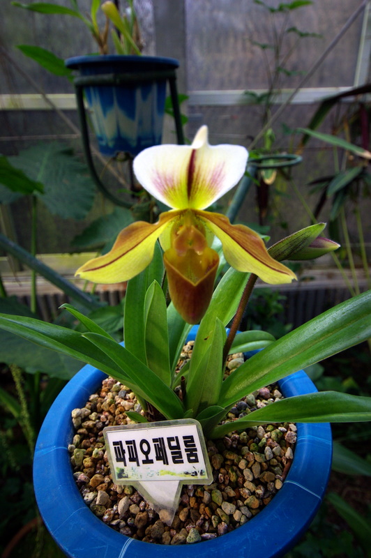 IMGP8725.JPG