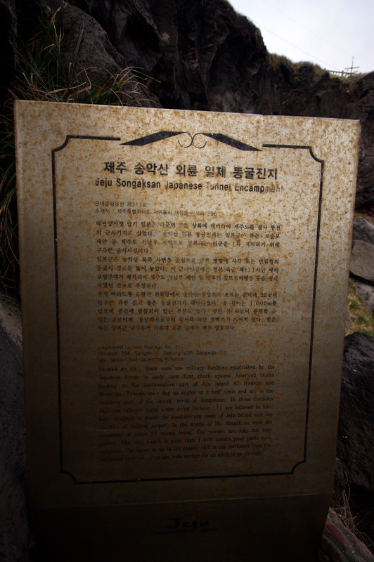 IMGP8589.JPG