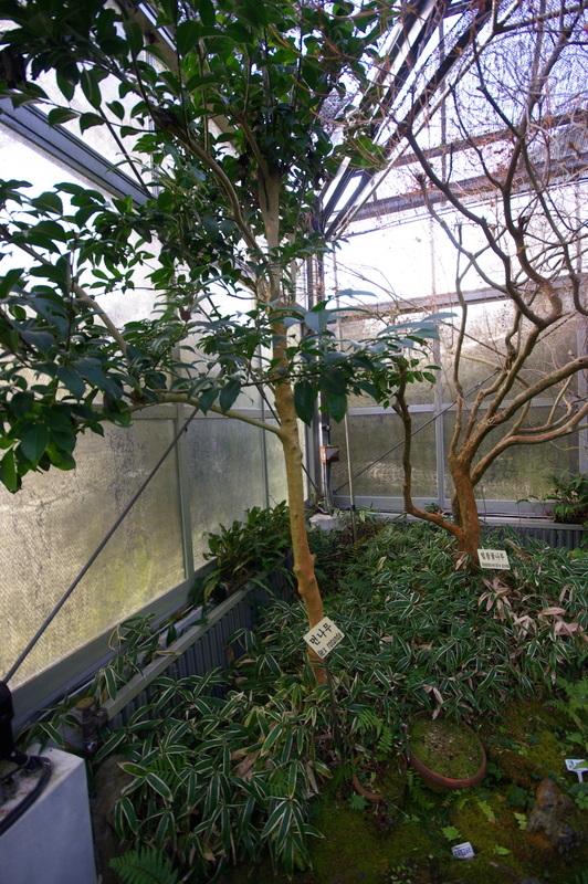 IMGP8719.JPG