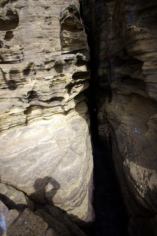 IMGP8707.JPG
