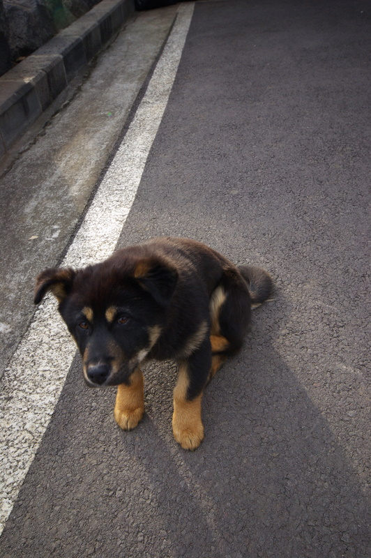 IMGP8510.JPG