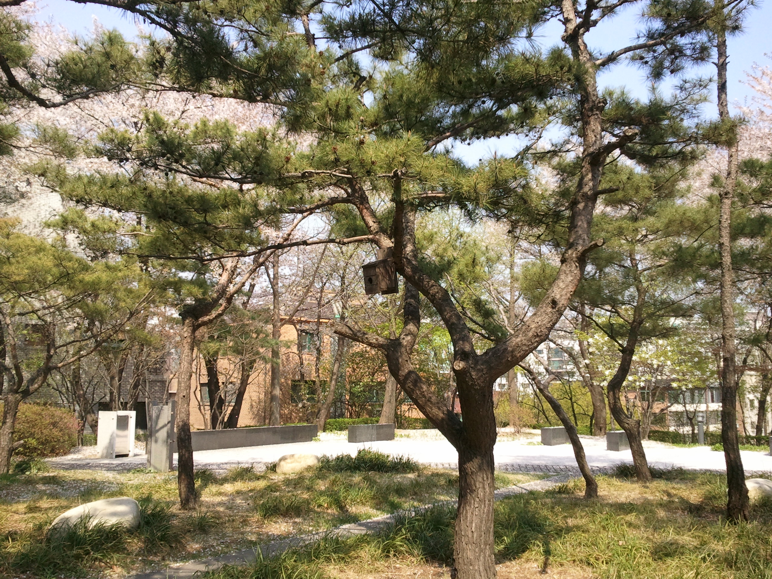 2012-04-20 10.18.26.jpg