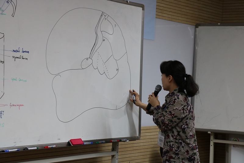 147.JPG