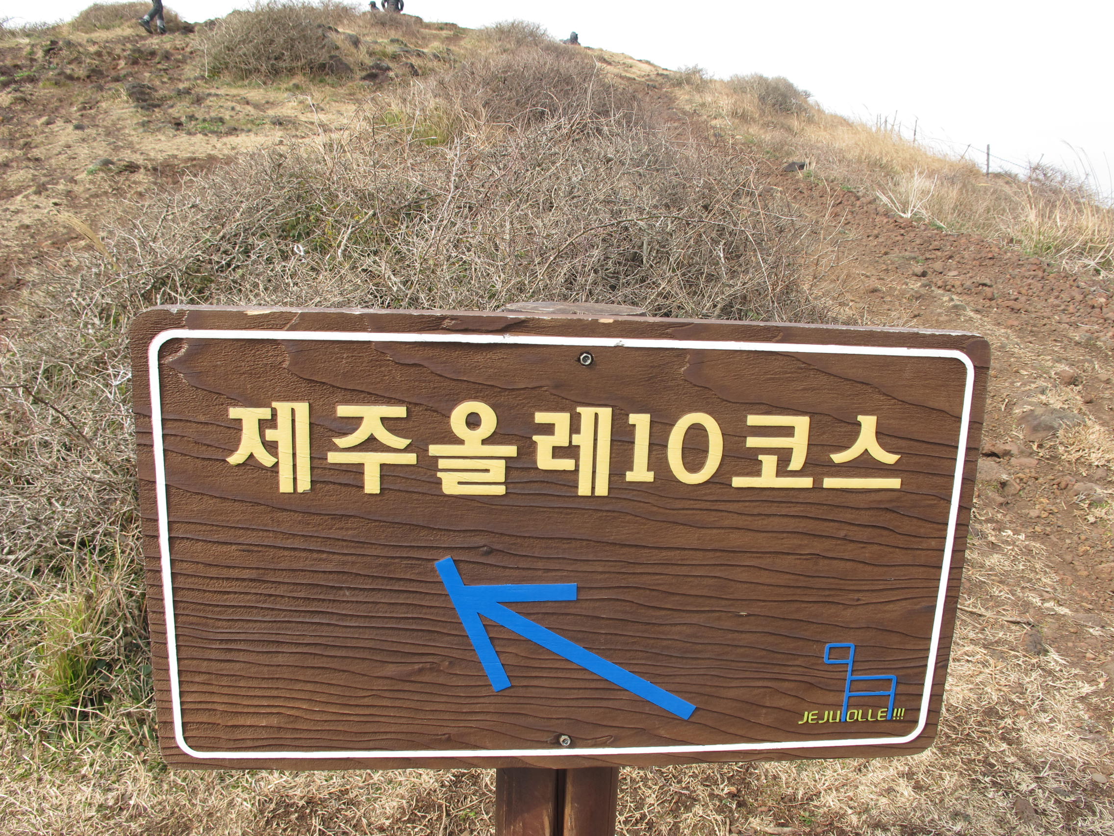 IMG_6250 - 복사본.JPG