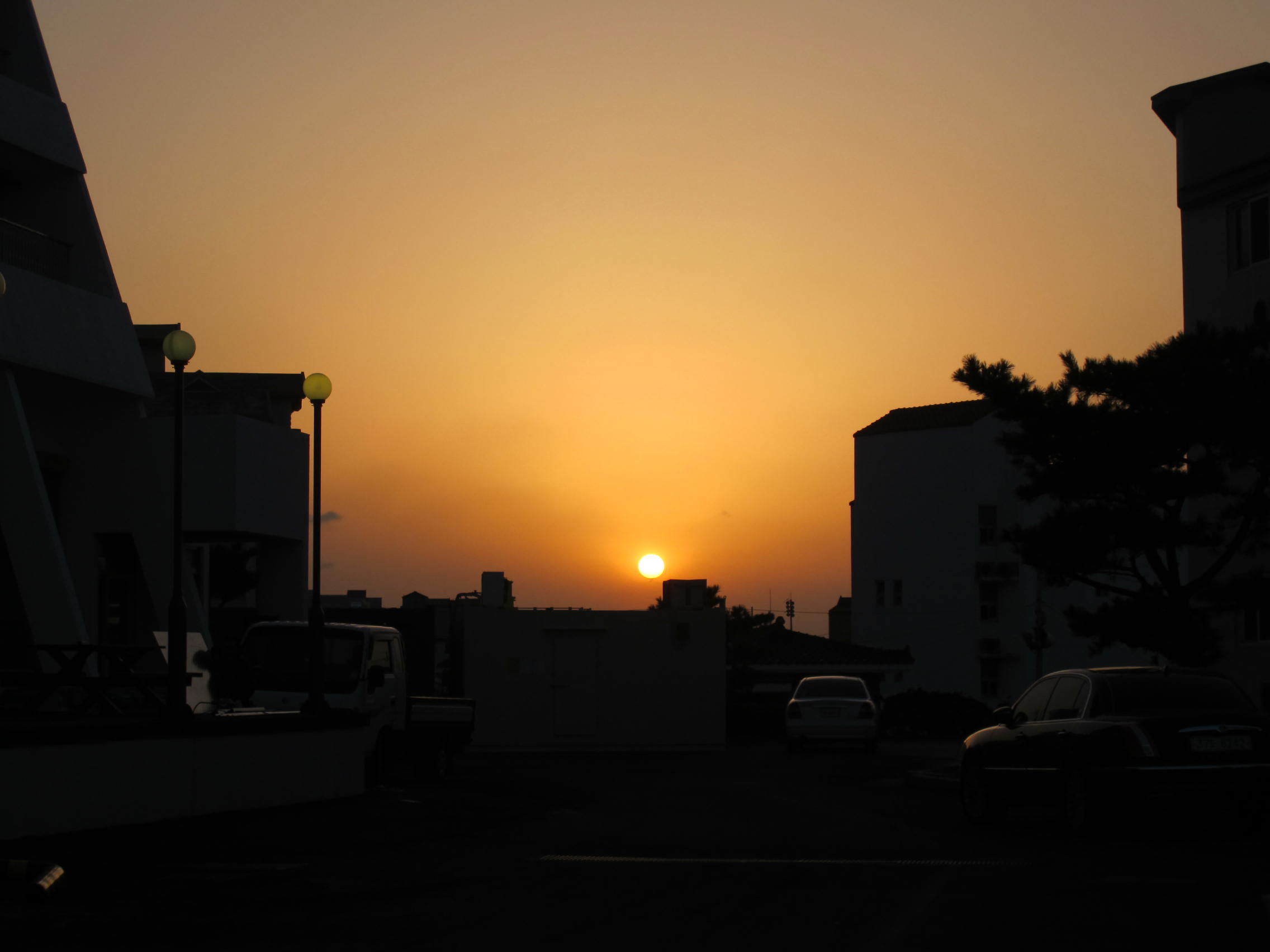 IMG_6496.JPG