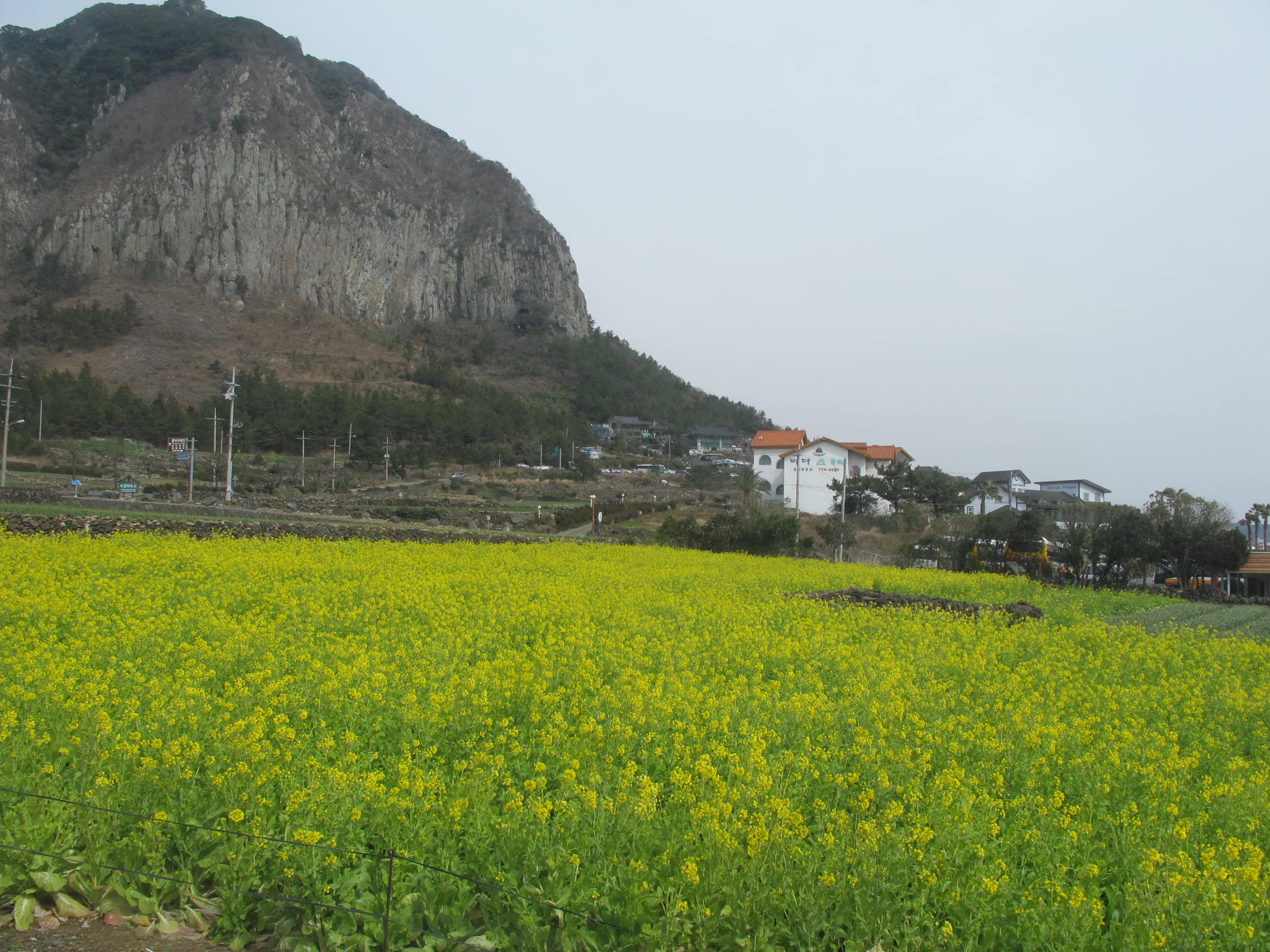 IMG_6341 - 복사본.JPG