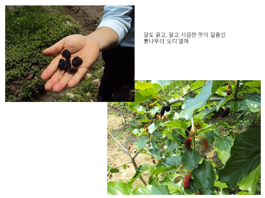 슬라이드22.jpg