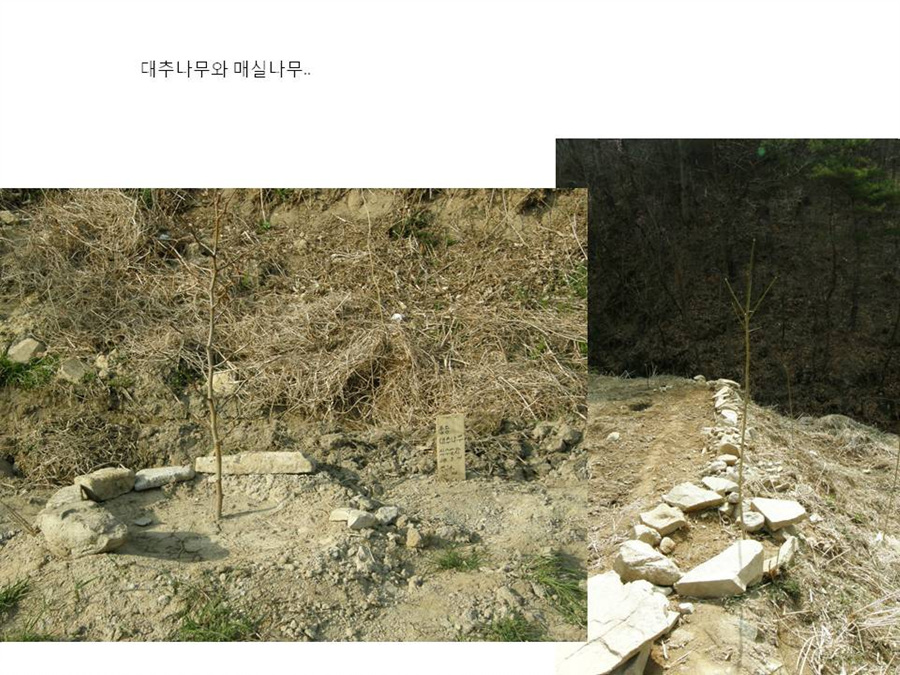 슬라이드6.jpg