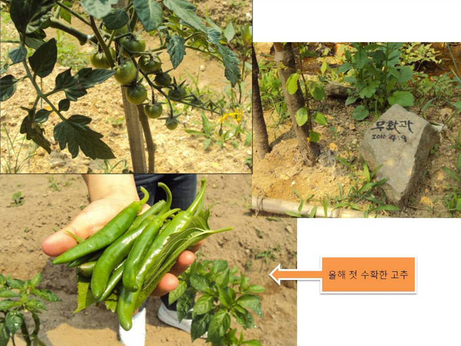 슬라이드23.jpg