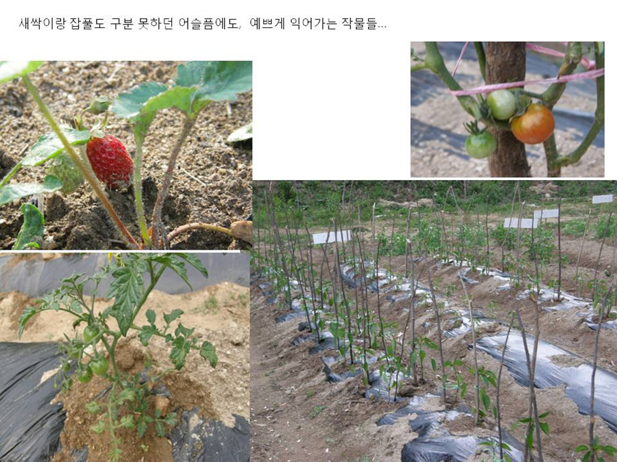 슬라이드9.jpg