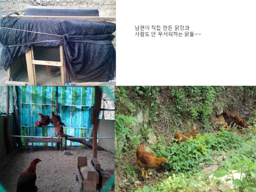 슬라이드24.jpg