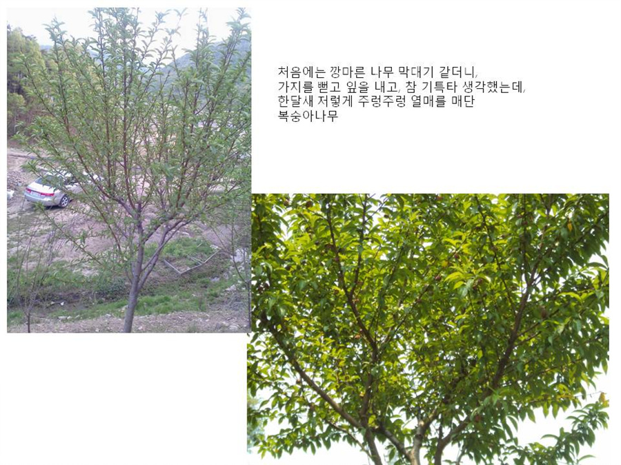 슬라이드25.jpg
