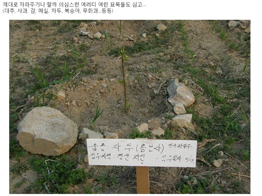 슬라이드5.jpg
