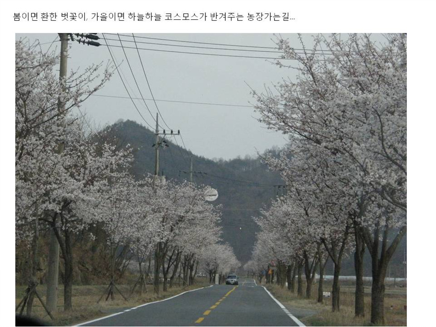 슬라이드7.jpg
