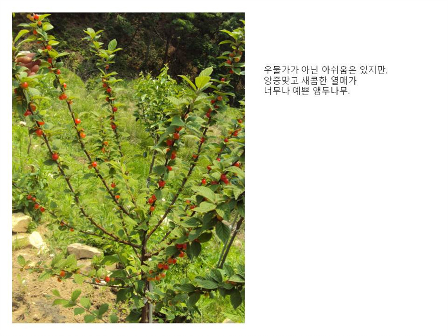 슬라이드26.jpg